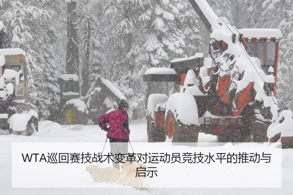 xun-hui-sai-ji-zhan-shu-bian-ge-dui-yun-dong-yuan-jing-ji-shui-ping-de-tui-dong-yu-qi-shi-3-849.jpg
